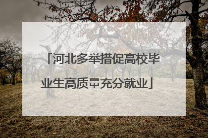 河北多举措促高校毕业生高质量充分就业