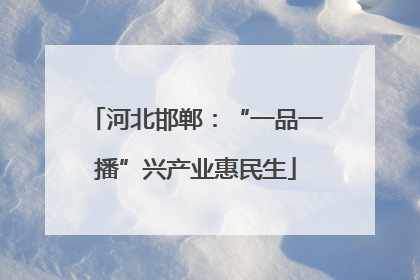 河北邯郸：“一品一播”兴产业惠民生