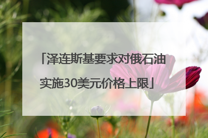 泽连斯基要求对俄石油实施30美元价格上限