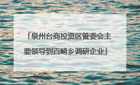 泉州台商投资区管委会主要领导到百崎乡调研企业