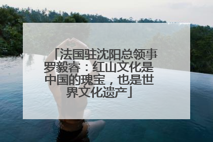 法国驻沈阳总领事罗毅睿：红山文化是中国的瑰宝，也是世界文化遗产