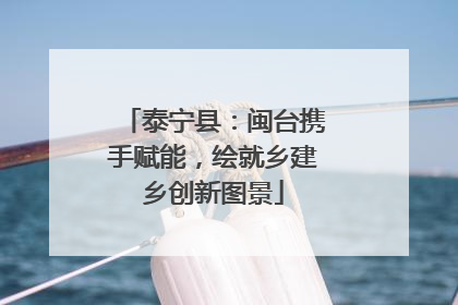 泰宁县：闽台携手赋能，绘就乡建乡创新图景