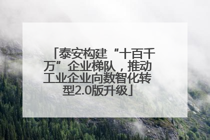 泰安构建“十百千万”企业梯队，推动工业企业向数智化转型2.0版升级
