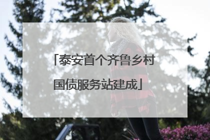 泰安首个齐鲁乡村国债服务站建成