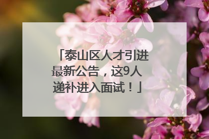 泰山区人才引进最新公告，这9人递补进入面试！