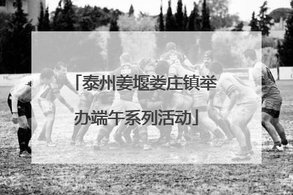 泰州姜堰娄庄镇举办端午系列活动