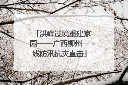 洪峰过境重建家园——广西柳州一线防汛抗灾直击