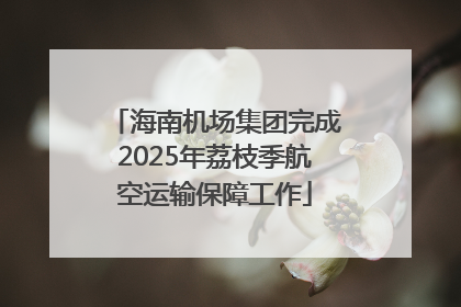 海南机场集团完成2025年荔枝季航空运输保障工作