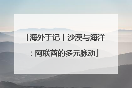海外手记丨沙漠与海洋：阿联酋的多元脉动