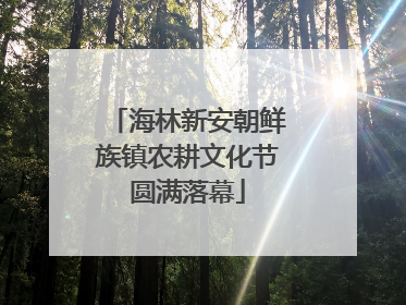 海林新安朝鲜族镇农耕文化节圆满落幕