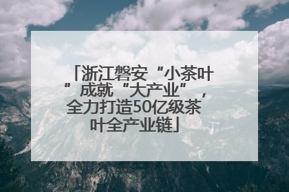 浙江磐安“小茶叶”成就“大产业”，全力打造50亿级茶叶全产业链