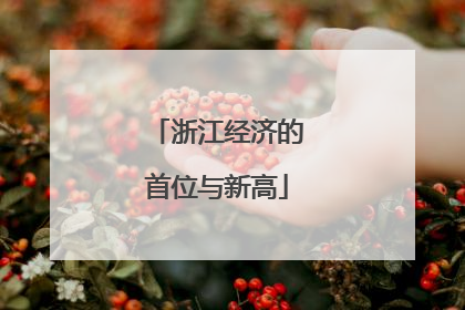 浙江经济的首位与新高