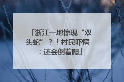 浙江一地惊现“双头蛇”？！村民吓懵：还会倒着爬