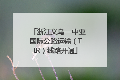 浙江义乌—中亚国际公路运输（TIR）线路开通