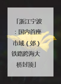 浙江宁波：国内首座市域（郊）铁路跨海大桥封顶