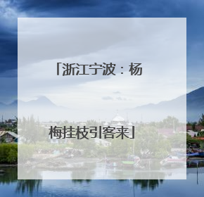浙江宁波：杨梅挂枝引客来