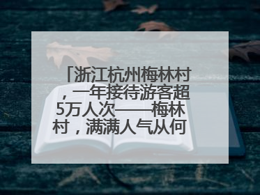 浙江杭州梅林村，一年接待游客超5万人次——梅林村，满满人气从何来（经济新方位·农村消费观察）