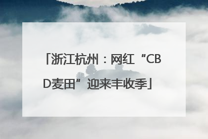 浙江杭州：网红“CBD麦田”迎来丰收季