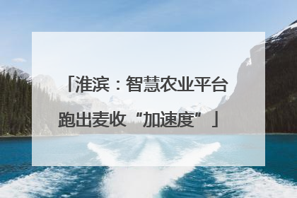 淮滨：智慧农业平台跑出麦收“加速度”