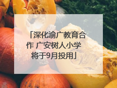 深化渝广教育合作 广安树人小学将于9月投用