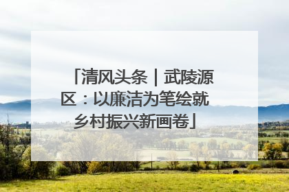 清风头条｜武陵源区：以廉洁为笔绘就乡村振兴新画卷