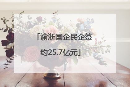 渝浙国企民企签约25.7亿元