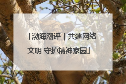 渤海潮评｜共建网络文明 守护精神家园