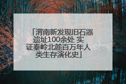 渭南新发现旧石器遗址100余处 实证秦岭北麓百万年人类生存演化史