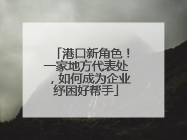 港口新角色！一家地方代表处，如何成为企业纾困好帮手