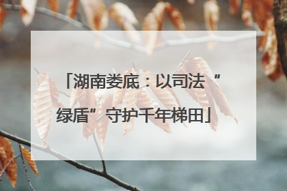 湖南娄底：以司法“绿盾”守护千年梯田