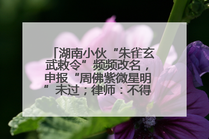 湖南小伙“朱雀玄武敕令”频频改名，申报“周佛紫微星明”未过；律师：不得违背公序良俗