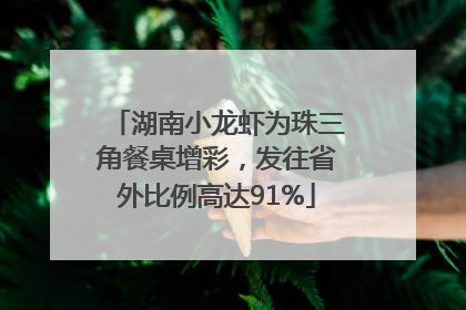 湖南小龙虾为珠三角餐桌增彩，发往省外比例高达91%