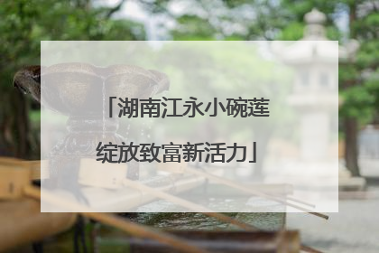 湖南江永小碗莲绽放致富新活力