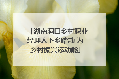 湖南洞口乡村职业经理人下乡踏勘 为乡村振兴添动能