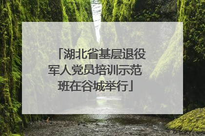 湖北省基层退役军人党员培训示范班在谷城举行