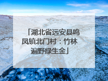 湖北省远安县鸣凤镇北门村：竹林遍野绿生金