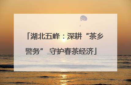 湖北五峰：深耕“茶乡警务” 守护春茶经济