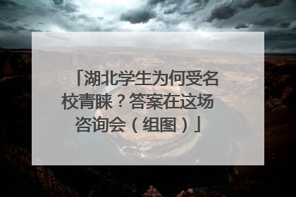 湖北学生为何受名校青睐？答案在这场咨询会（组图）