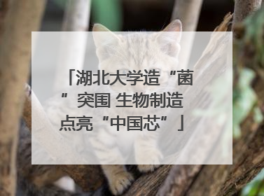 湖北大学造“菌”突围 生物制造点亮“中国芯”