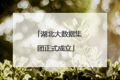 湖北大数据集团正式成立