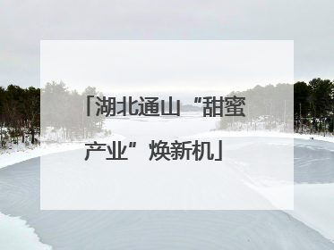 湖北通山“甜蜜产业”焕新机