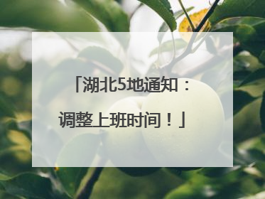 湖北5地通知：调整上班时间！