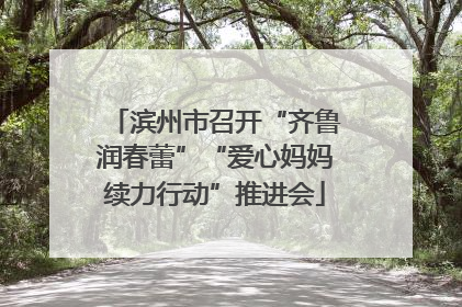 滨州市召开“齐鲁润春蕾”“爱心妈妈续力行动”推进会