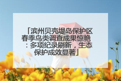 滨州贝壳堤岛保护区春季鸟类调查成果惊艳：多项纪录刷新，生态保护成效显著