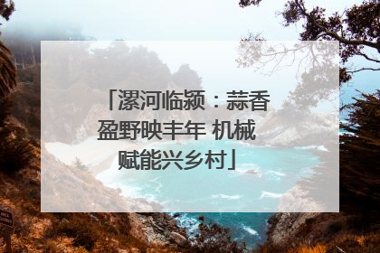 漯河临颍：蒜香盈野映丰年 机械赋能兴乡村