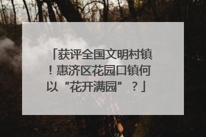 获评全国文明村镇！惠济区花园口镇何以“花开满园”？