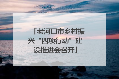 老河口市乡村振兴“四项行动”建设推进会召开