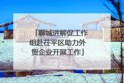 聊城进解促工作组赴茌平区助力外贸企业开展工作
