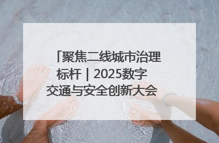 聚焦二线城市治理标杆｜2025数字交通与安全创新大会在保定隆重开幕