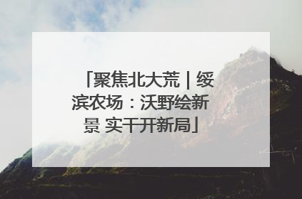 聚焦北大荒｜绥滨农场：沃野绘新景 实干开新局